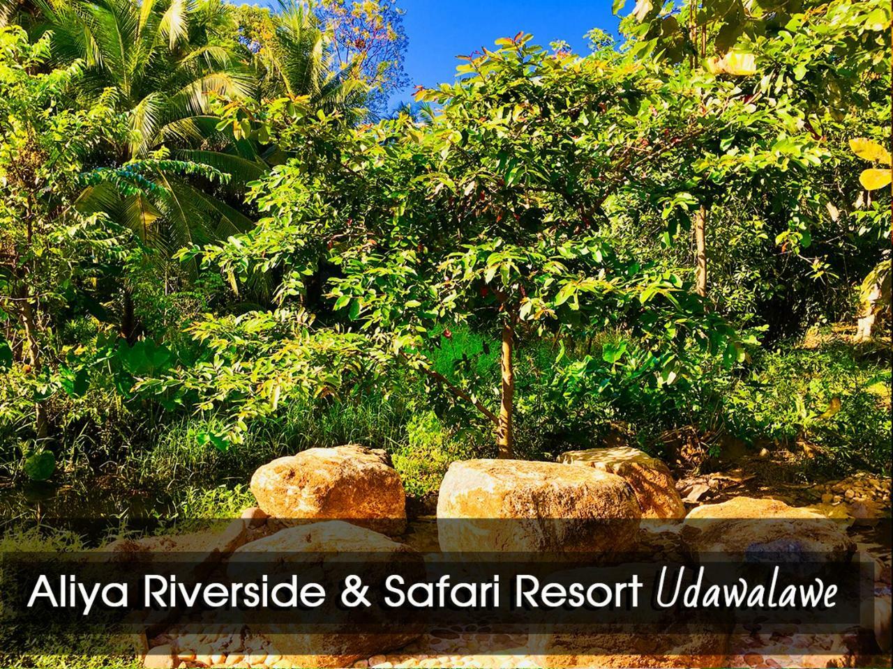 Aliya Riverside & Safari Resort 우다왈라웨 외부 사진