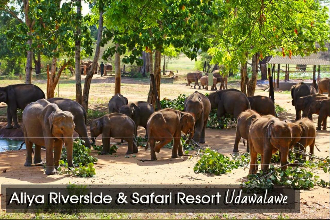 Aliya Riverside & Safari Resort 우다왈라웨 외부 사진