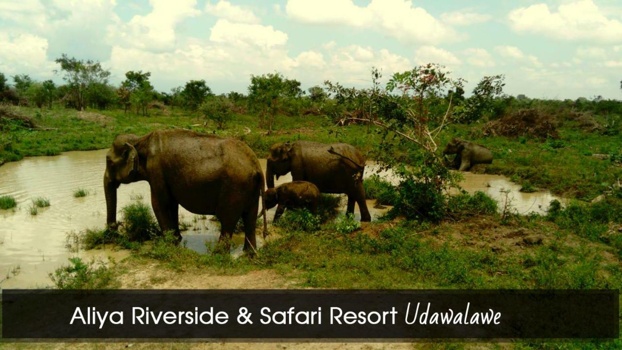 Aliya Riverside & Safari Resort 우다왈라웨 외부 사진