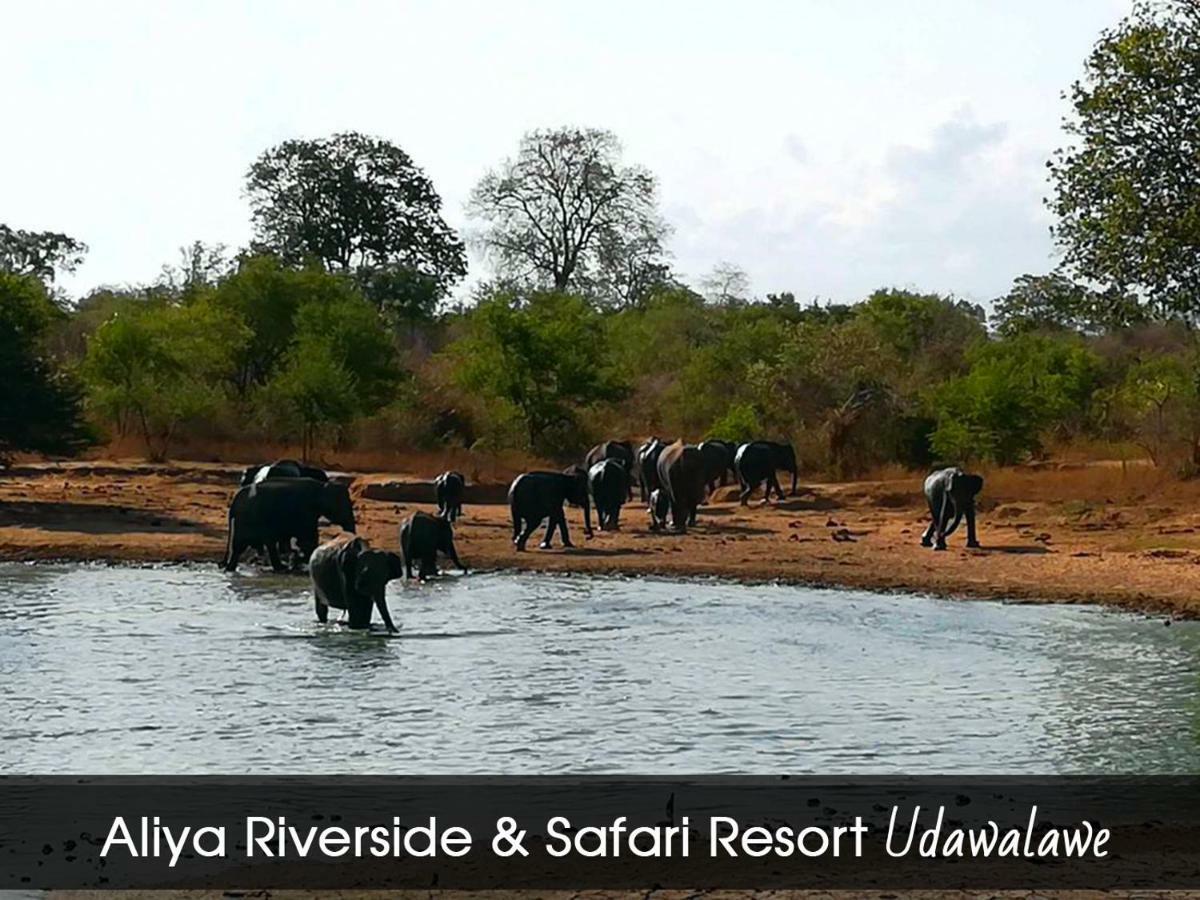 Aliya Riverside & Safari Resort 우다왈라웨 외부 사진