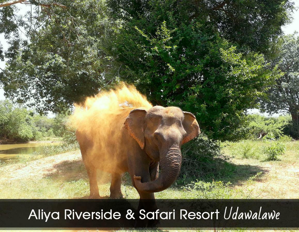 Aliya Riverside & Safari Resort 우다왈라웨 외부 사진