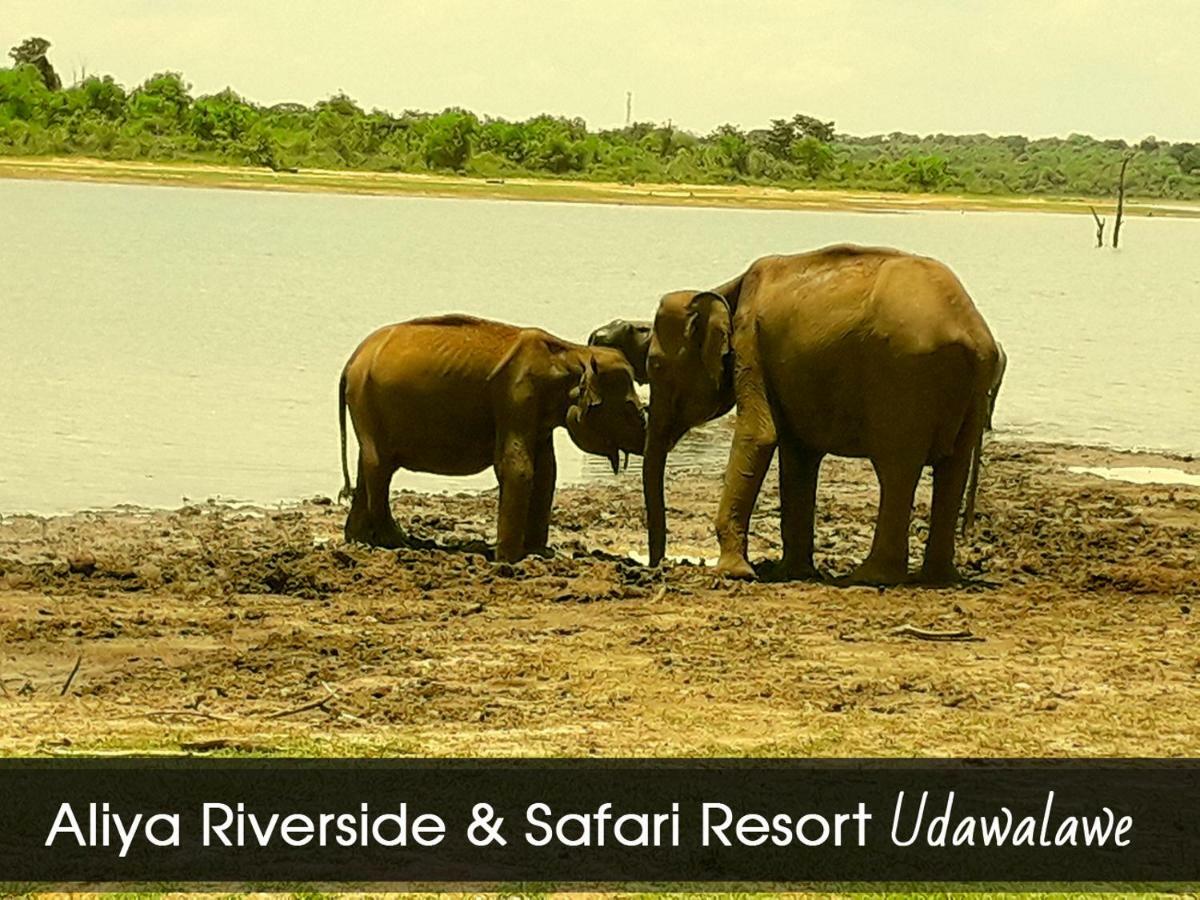 Aliya Riverside & Safari Resort 우다왈라웨 외부 사진