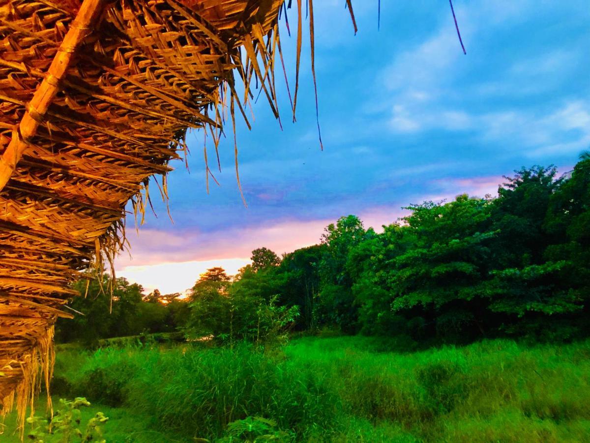 Aliya Riverside & Safari Resort 우다왈라웨 외부 사진